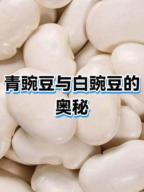 白碗豆与青碗豆有什么区别
