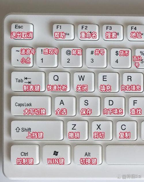 键盘上的亮度键是哪个