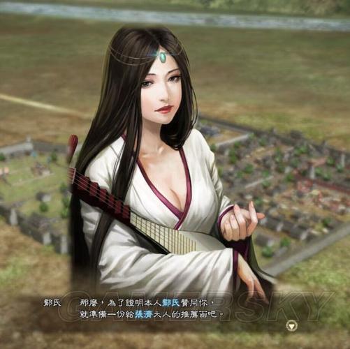 三国志13pk外交
