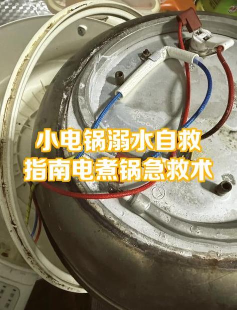 电煮锅一插电就跳闸怎么回事