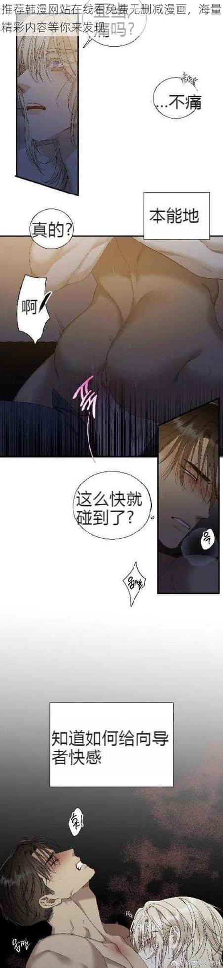 漫画下载安装软件下载