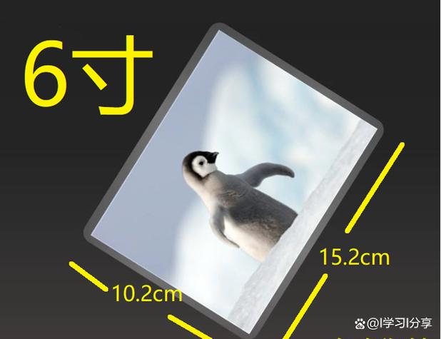 6寸纸张尺寸大小