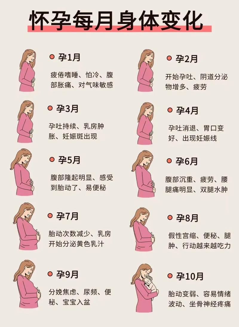 孕妇10月怀胎图