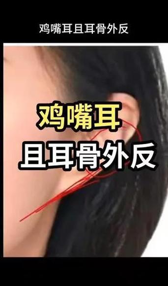 鸡的听力是人的多少倍