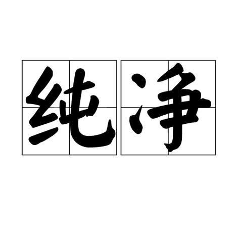 纯净的意思是什么意思
