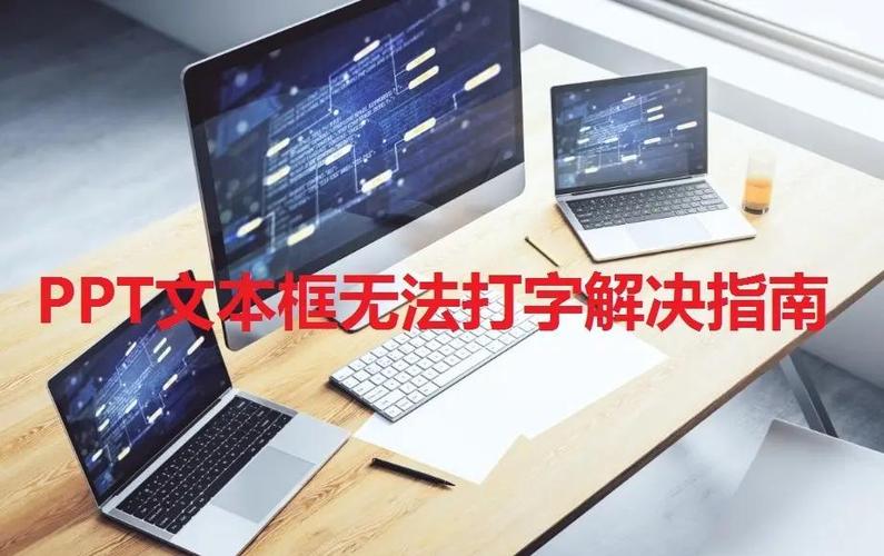 为什么文本框打不上字