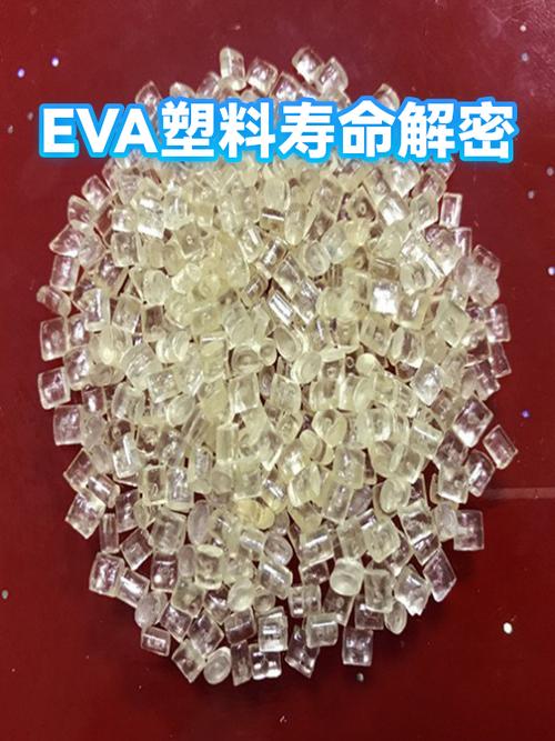 eva一般寿命几年