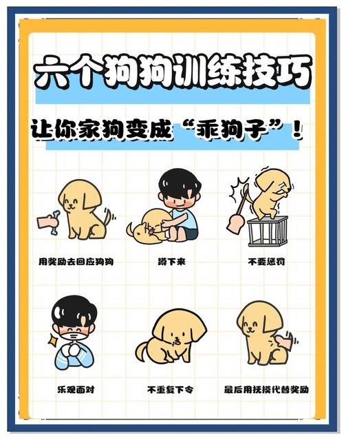 训练狗