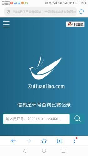 鸽子号码查询信息