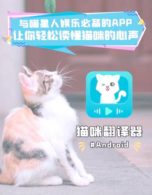 猫猫语言翻译器