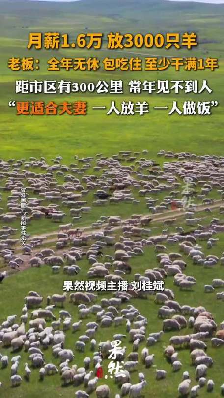 找放羊工联系电话号码