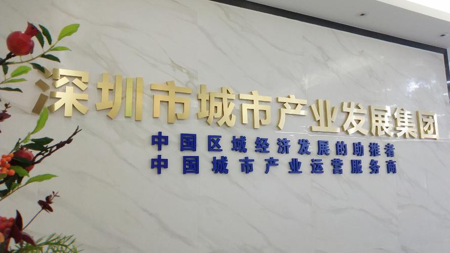 深圳市创新投资集团有限公司