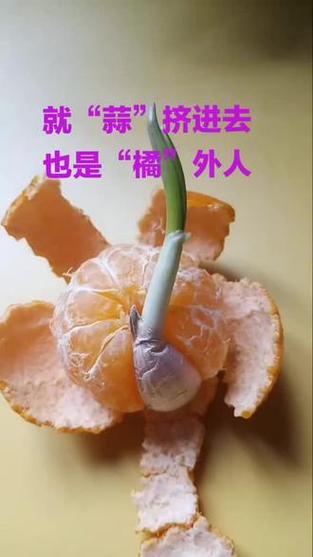 好吃不怎么幽默回复