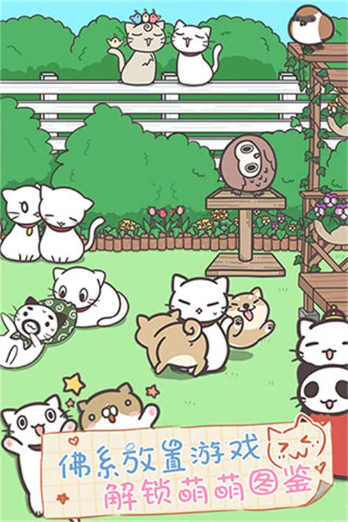 猫咪饲养日常游戏