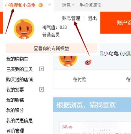 淘宝id指的是会员名还是昵称