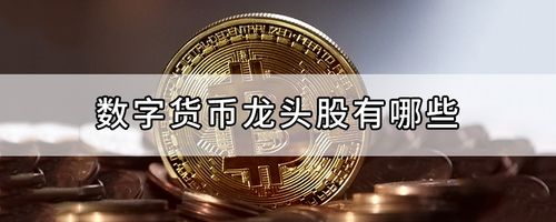 数字货币龙头股