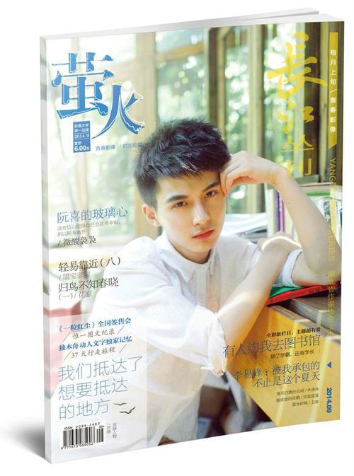 萤火杂志小说系列