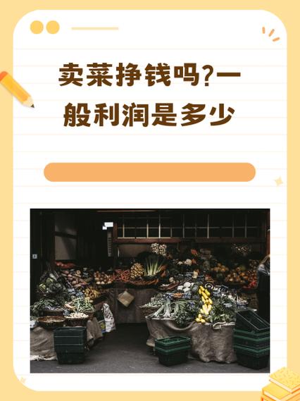 开蔬菜店赚钱吗