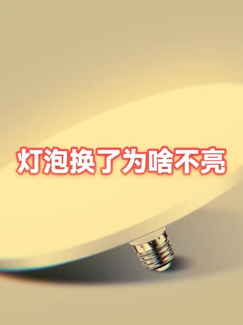 换上灯泡闪一下就不亮了