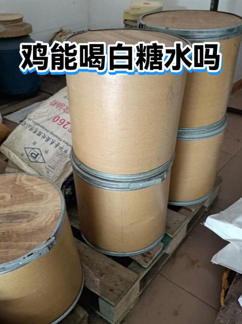 鸡可以喝白糖水吗