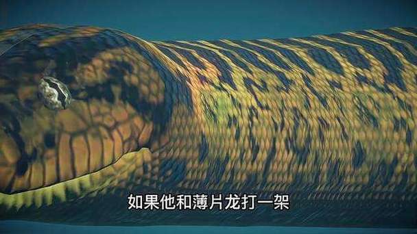 沧龙vs泰坦巨蟒