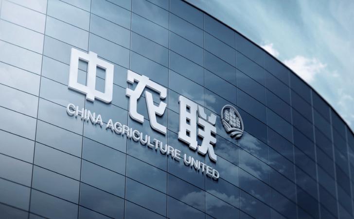 中农链公司是正规公司吗