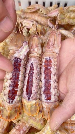 皮皮虾壁纸软件