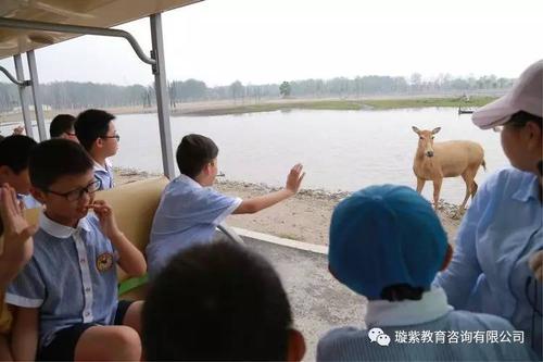 成都麋鹿教育咨询有限公司