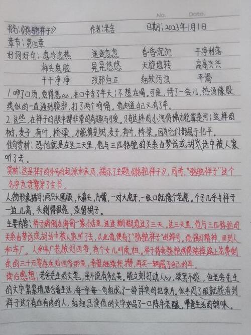 骆驼祥子阅读摘抄