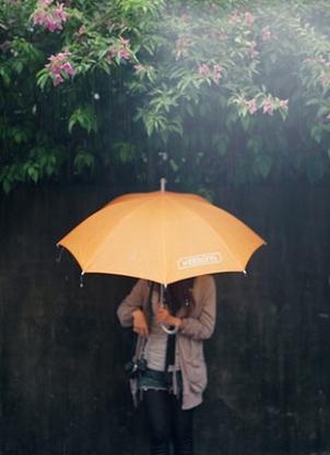雨伞先祖在哪里?