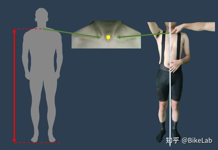 静态fitting