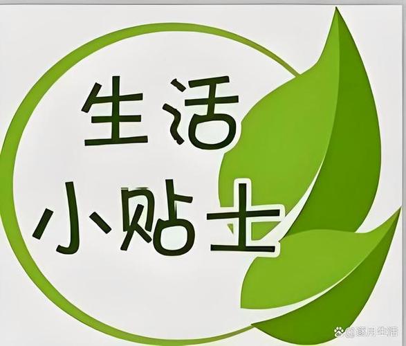小生活内置作弊菜单