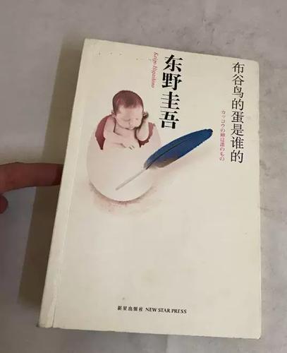 布谷布谷的小说