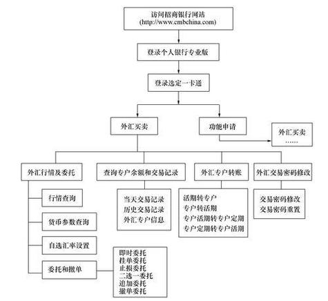 外汇转入国内账户流程