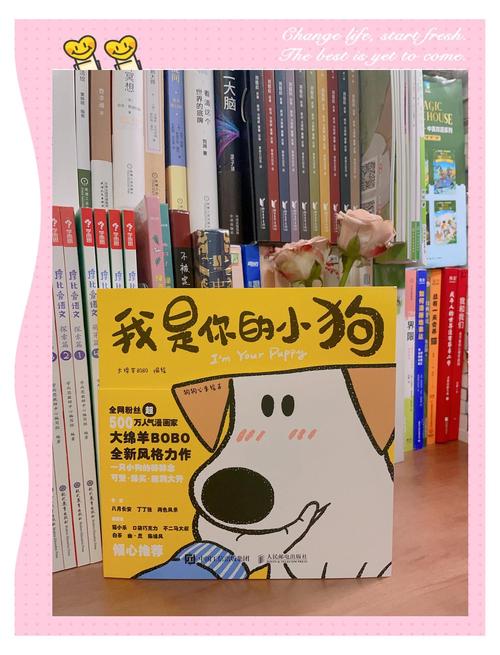 自制养模拟猫咪小宠物