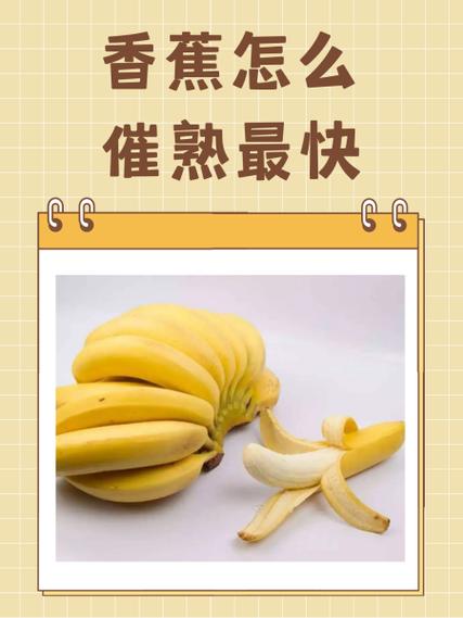 小米蕉怎样熟得快又黄