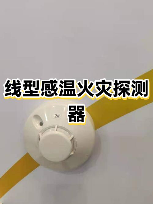 小米今日股价多少