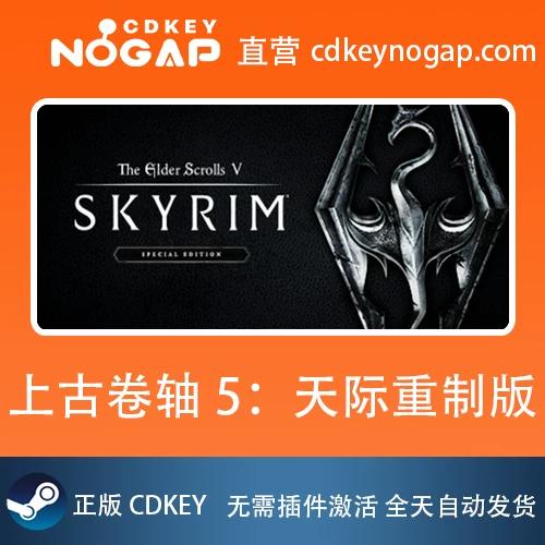 上古卷轴5在哪买
