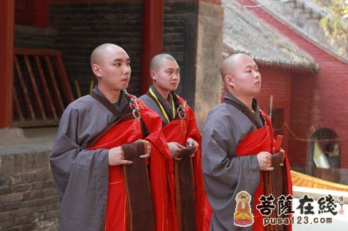 少林寺加点最新攻略2023