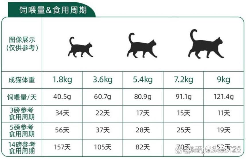猫一天喂几次
