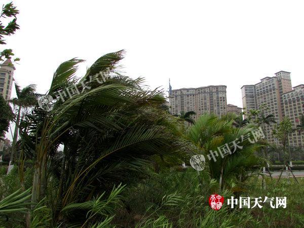 防城港最冷的三个月