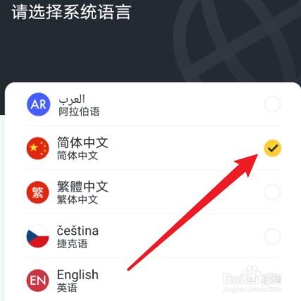 下载软件是英文怎么调成中文
