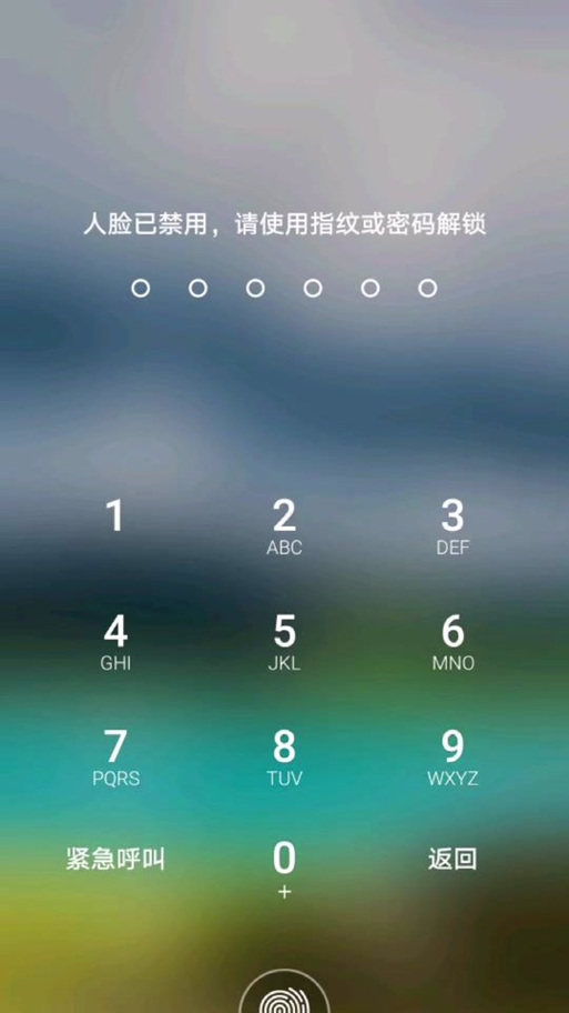 指纹被禁用是怎么回事