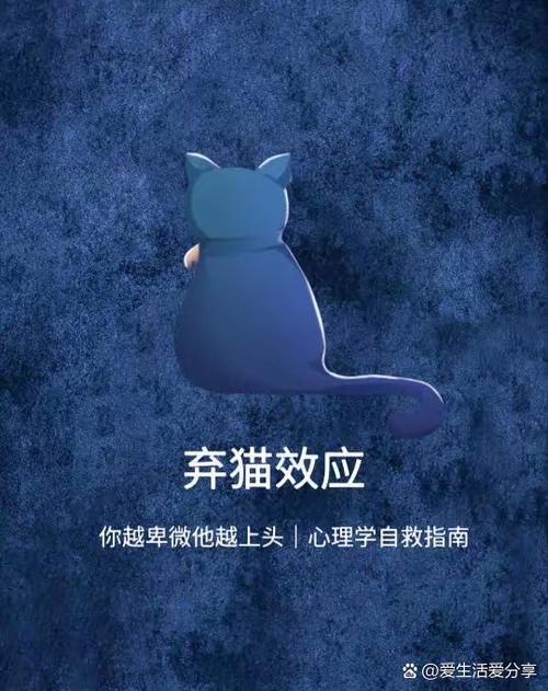 男生喜欢猫是什么心理