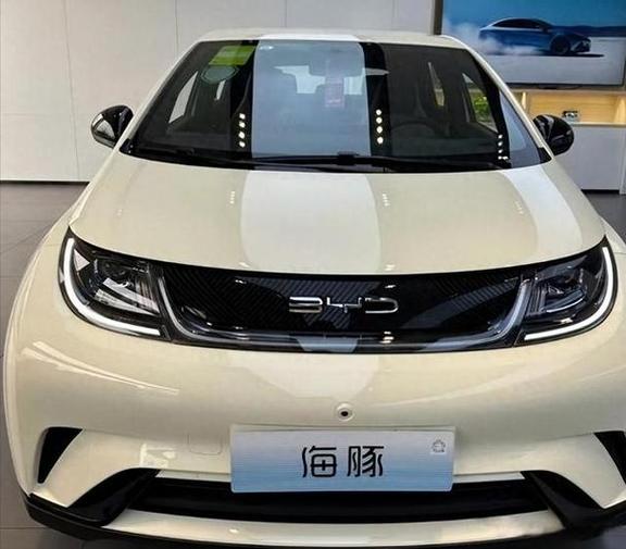 比亚迪纯电动汽车4万