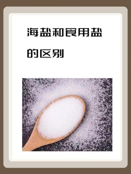 红豆袋好还是海盐的好