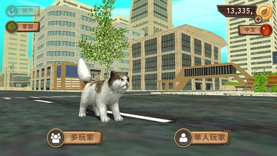 猫咪生存模拟器怎么养小猫