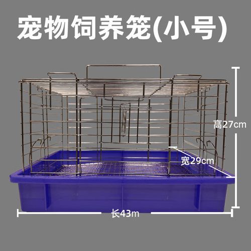 鹦鹉没笼子怎么养