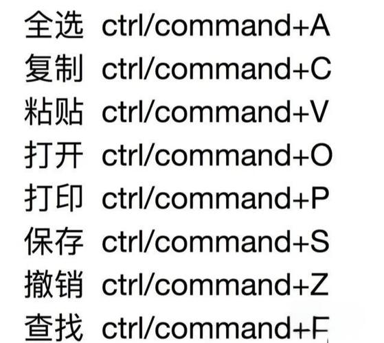 苹果电脑常用的快捷键命令