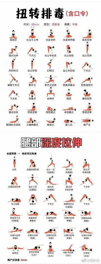 拉伸动作图解